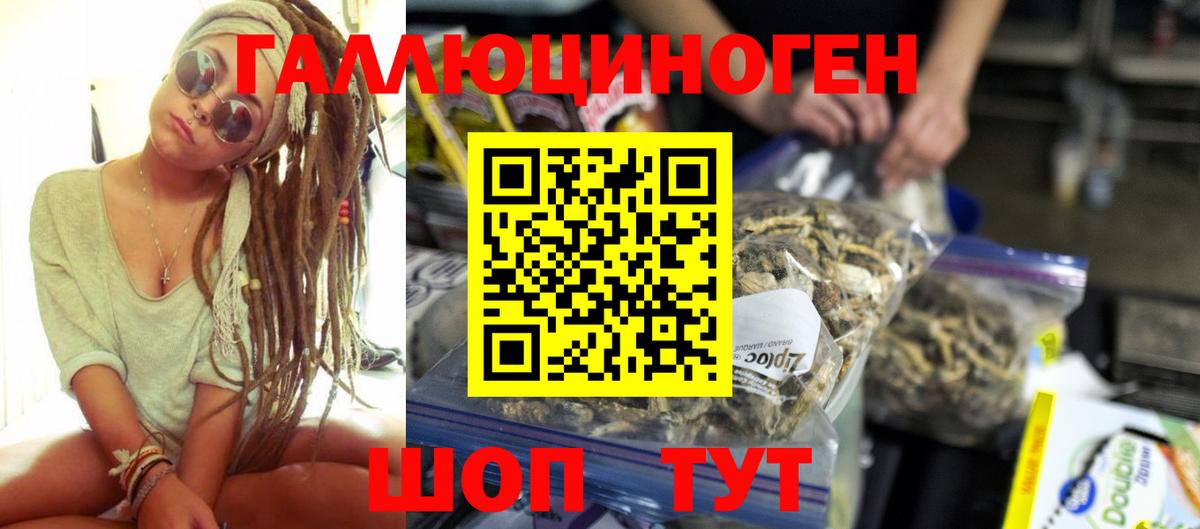 Псилоцибиновые грибы Cubensis  Галлюциногенные грибы MAGIC MUSHROOMS  Вход с VPN  Малоярославец 